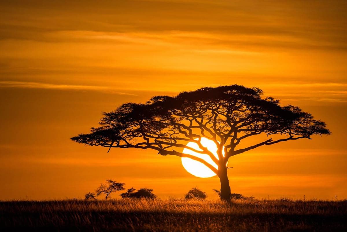 Africa travel destination