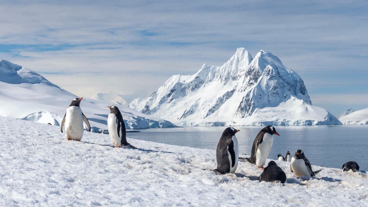 Antarctica travel destination